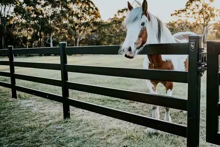 Aluminum-Horse-Fence