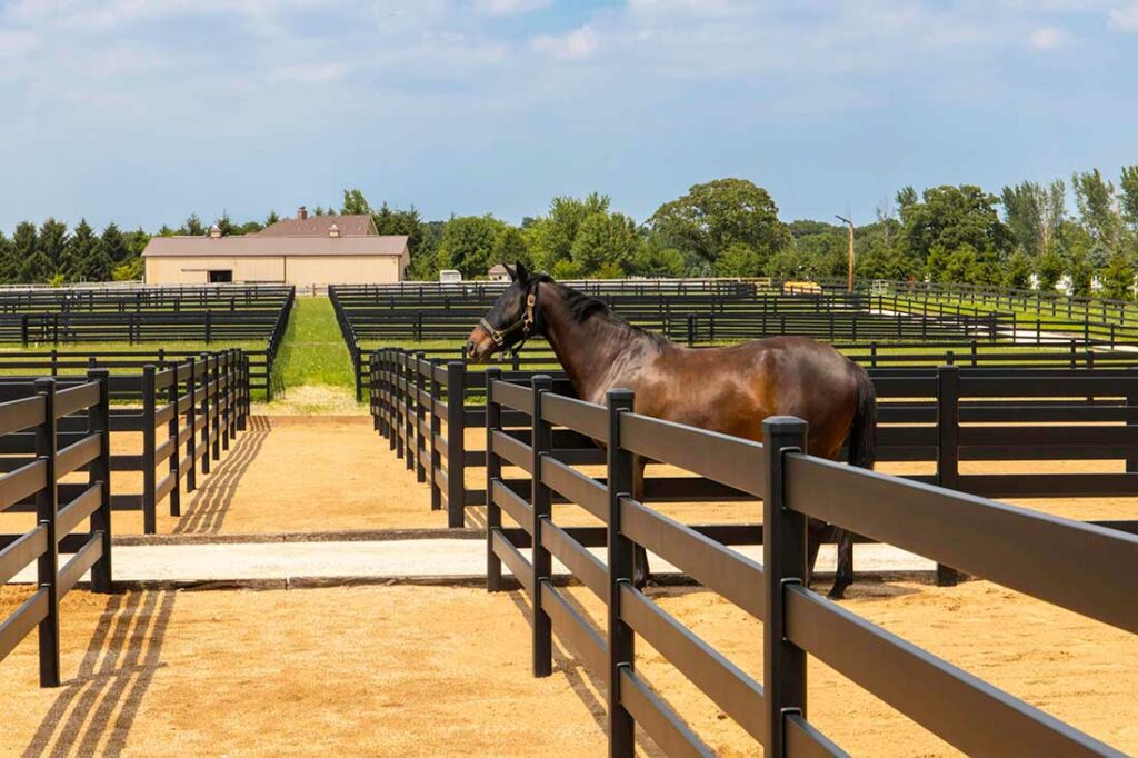 Aluminum Horse Fence-Installed-in-Barrie