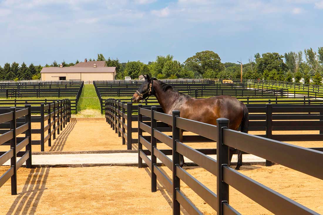 Aluminum Horse Fence-Installed-in-Barrie