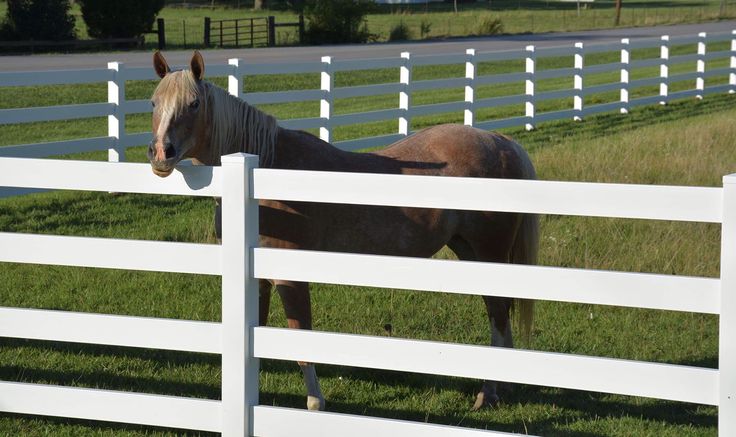 Vinyl horse Fence Panels